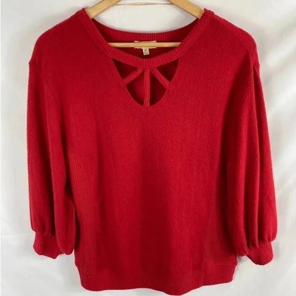 NWT Democracy Red Sweater